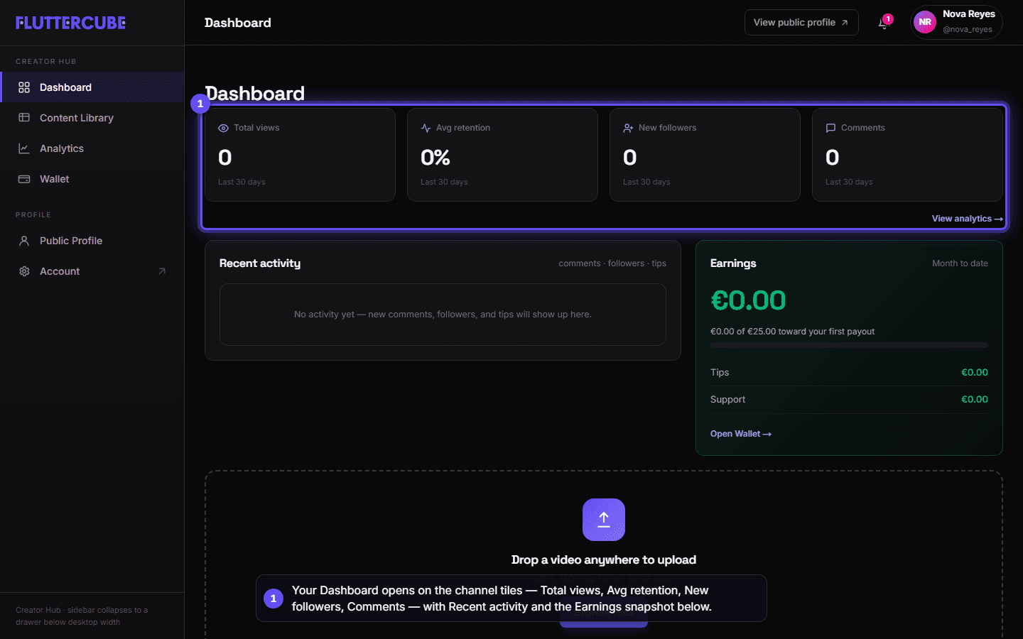 The four channel tiles at the top of the Dashboard with Recent activity and the Earnings card below.